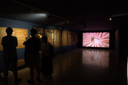 Altamira inaugura la exposici&oacute;n de 60 fotos de gran formato sobre arte rupestre paraguayo de Fernando Allen