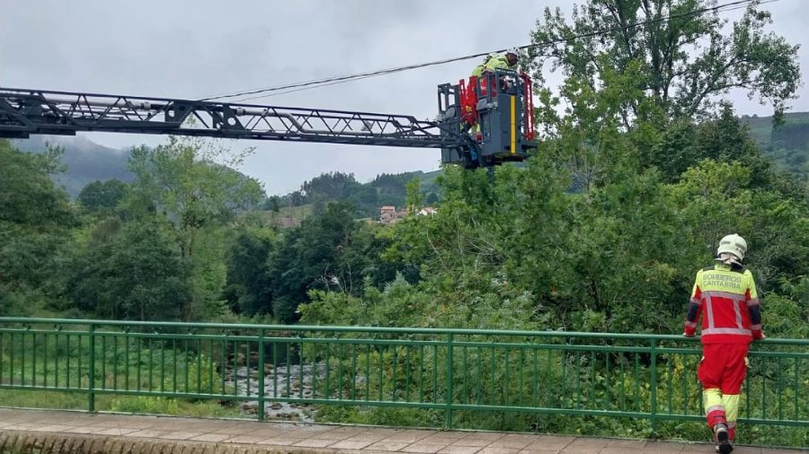  Bomberos rescatan a un gato que llevaba atrapado varios d&iacute;as en un &aacute;rbol en Herrer&iacute;as