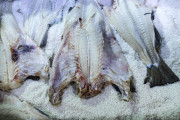 Bruselas plantea recortar hasta un 88% las capturas de bacalao en el B&aacute;ltico para 2027