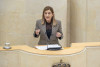 Buruaga dice al PSOE que este gobierno se parece al PSOE-PRC como un huevo a una casta&ntilde;a