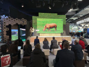  Buruaga preside este viernes el D&iacute;a de Cantabria en Fitur donde exaltar&aacute; las fortalezas tur&iacute;sticas regionales