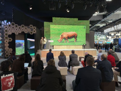  Buruaga preside este viernes el D&iacute;a de Cantabria en Fitur donde exaltar&aacute; las fortalezas tur&iacute;sticas regionales