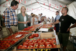 Cabez&oacute;n de la Sal celebrar&aacute; el s&aacute;bado su I Feria Agroalimentaria con cuarenta puestos