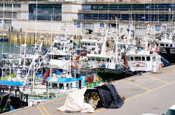 Cantabria abona 111.243 euros a los afectados por la paralizaci&oacute;n de la pesca del jurel