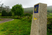 Cantabria participar&aacute; en la planificaci&oacute;n del A&ntilde;o Jacobeo 2027, junto con el Estado y otras ocho CCAA