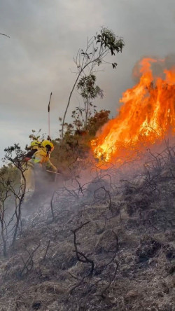  Cantabria tiene tres incendios forestales activos en Camale&ntilde;o, Herrer&iacute;as y Vald&aacute;liga
