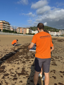 Castro descarta presencia "masiva" de alga asi&aacute;tica y ve "suficientes" las labores ordinarias de mantenimiento de playas