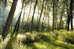 Certicant celebra su 20&ordm; aniversario con la entrega de los I Premios Cantabria Forestal