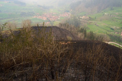  Contin&uacute;a la oleada de incendios forestales en Cantabria, con 26 focos activos