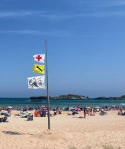 Cruz Roja registra este s&aacute;bado m&aacute;s de 120 picaduras de medusas en las playas c&aacute;ntabras