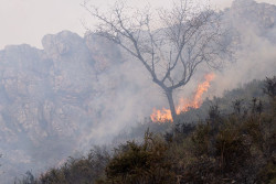 CSIF alerta del riego de que Espa&ntilde;a afronte un verano "sin medios ni plantillas adecuadas" para prevenir los incendios