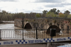 Cultura activa los equipos de evaluación de daños y reconstrucción del puente romano de Talavera