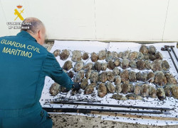  Denunciados siete pescadores furtivos en Cantabria en dos fines de semana con 94 kilos de diferentes especies