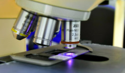 Descubren c&oacute;mo calcular la energ&iacute;a m&iacute;nima que gastan las c&eacute;lulas para mantener ciertas v&iacute;as metab&oacute;licas