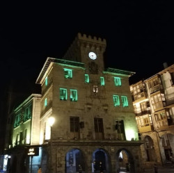 El Ayuntamiento se ilumina de verde por el `D&iacute;a Mundial del Ostomizado`