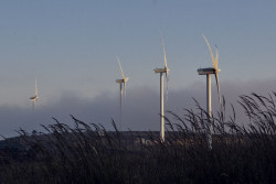 El BCE destaca los beneficios de la transici&oacute;n de Espa&ntilde;a hacia las energ&iacute;as renovables