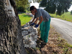 El Camino Lebaniego mejora la accesibilidad con la participaci&oacute;n de personas en riesgo de exclusi&oacute;n social