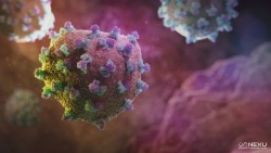 El ECDC advierte de que la hepatitis B y C siguen planteando "importantes retos de salud pública" en Europa