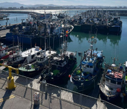 El Gobierno aprueba 3,75 millones para ampliar la zona de atraque y descarga de la flota pesquera del puerto de Laredo