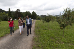 El Gobierno estudia el futuro cultivo de aguacates en las zonas costeras de Cantabria