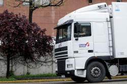 El Gobierno flexibiliza los tiempos de conducci&oacute;n de los transportistas por bloqueos en las v&iacute;as francesas