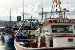 El Gobierno pone en valor su compromiso con la pesca artesanal y apuesta por medidas para facilitar el relevo