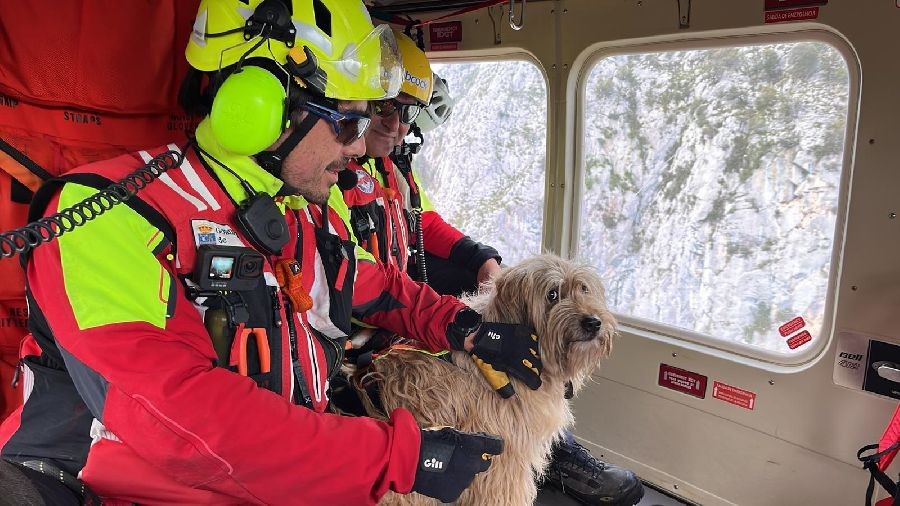 El  helicóptero de Cantabria rescata a una perra atrapada desde el martes en La Hermida