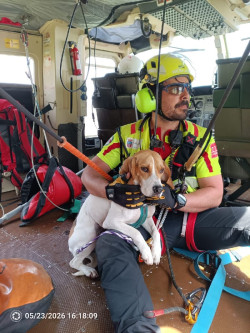 El helic&oacute;ptero rescata a una perra enriscada en una canal de Picos de Europa