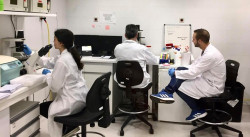 El IDIVAL colabora con Cantabria Labs en el estudio de extractos naturales para proteger la piel
