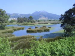 El MITECO aprueba el proyecto del subfluvial Santo&ntilde;a-Laredo por 78,7 millones y un plazo de cuatro a&ntilde;os