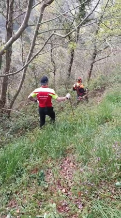  El operativo de b&uacute;squeda del hombre desaparecido en Toranzo se centra hoy en zonas de abundante maleza