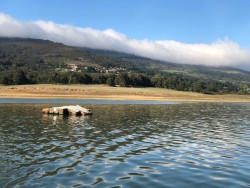 El pantano del Ebro alcanza el 79,6% de su capacidad tras ganar 4,01 hm3 en la &uacute;ltima semana