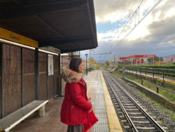 El PP en Torrelavega denuncia que a&uacute;n no existe proyecto para la integraci&oacute;n ferroviaria