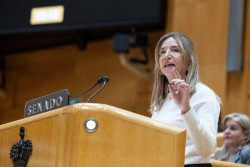 El PP pide la comparecencia de Cuerpo en el Senado ante "la Navidad m&aacute;s cara de la historia"