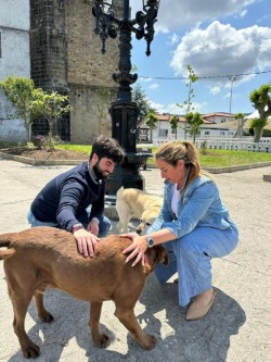 El PP propone la construcción de un parque canino en Castro Urdiales