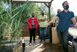  El proyecto para descontaminar la r&iacute;a del Carmen con la ayuda del carrizo se testar&aacute; en 2021