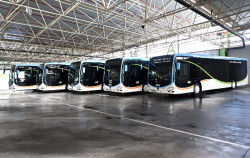 El TUS supera los 10,9 millones de viajeros en el primer semestre del a&ntilde;o, un 4,5% m&aacute;s