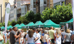 El XXIII Mercado Campurriano reunir&aacute; a 28 productores y ofrecer&aacute; un amplio programa festivo