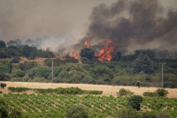 Espa&ntilde;a registra 265.457 ha quemadas hasta 12 de agosto, m&aacute;s de la mitad de las de la UE, seg&uacute;n Copernicus