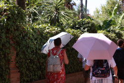 Espa&ntilde;a registrar&aacute; ma&ntilde;ana bajadas de temperatura de hasta 12&ordm;C y lluvias abundantes en el Mediterr&aacute;neo, seg&uacute;n Meteored