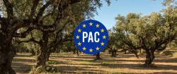 Fracaso de la Política Agrícola Común. José Antonio Ávila López