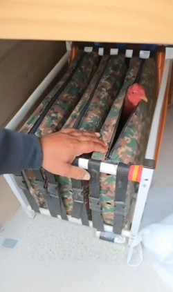  Interceptados en Ir&uacute;n 10 gallos de pelea en una furgoneta que se dirig&iacute;a de Cantabria a Francia