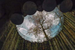 La Biblioteca Central inaugura este viernes la exposici&oacute;n de Manuel &Aacute;lvarez Diestro y Karlos Gil `Umbral`