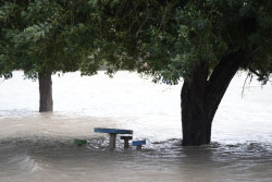 La borrasca "sin precedentes" deja miles de evacuados, localidades incomunicadas y una desaparecida en M&aacute;laga