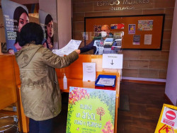 La campa&ntilde;a del &aacute;rbol de Torrelavega bate r&eacute;cord y repartir&aacute; 4.420 ejemplares