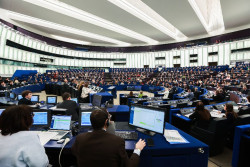 La Euroc&aacute;mara aprueba las salvaguardas agr&iacute;colas dise&ntilde;adas para salvar el acuerdo con Mercosur