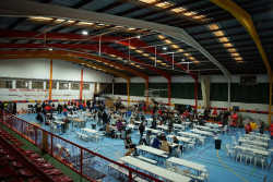 La Fundaci&oacute;n Reina Sof&iacute;a crea un fondo de 20.000 euros para ayudar a las zonas damnificadas