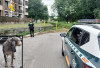  La Guardia Civil rescata a un perro a punto de morir ahogado en un canal de la Penilla