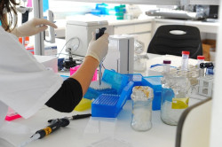 La hepat&oacute;loga de Valdecilla Paula Iruzubieta, premiada por la Sociedad Espa&ntilde;ola de Patolog&iacute;a Digestiva