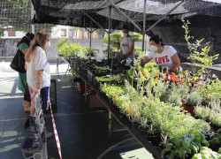  La Llama acoge el mercado de los jueves hasta que se pueda volver a celebrar en el Ferial